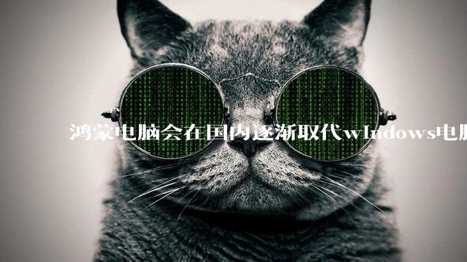 鸿蒙电脑会在国内逐渐取代windows电脑吗？