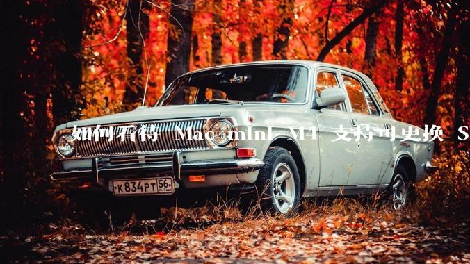 如何看待 Mac mini M4 支持可更换 SSD？