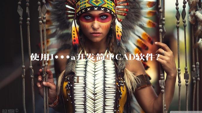 使用J***a开发简单CAD软件？