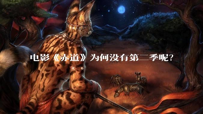 电影《赤道》为何没有第二季呢？