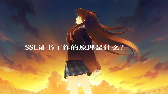 SSL证书工作的原理是什么？
