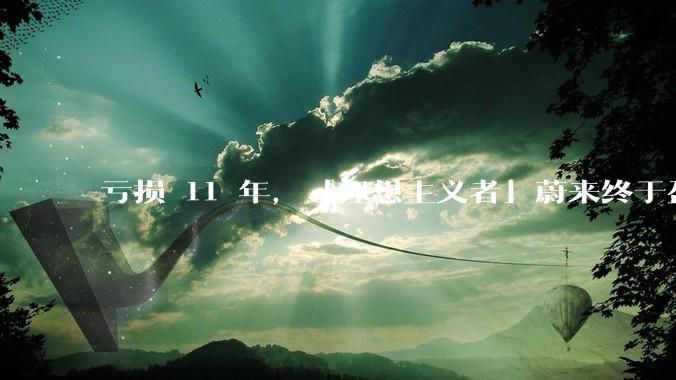 亏损 11 年，「理想主义者」蔚来终于盈利了_李斌_备箱_潜在用户