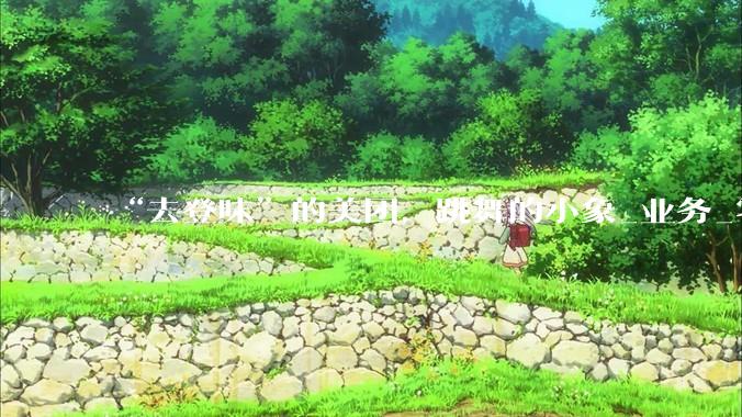 “去登味”的美团，跳舞的小象_业务_零售_市场策略