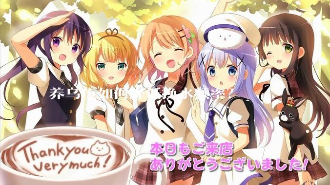 养乌龟如何降低换水频率？