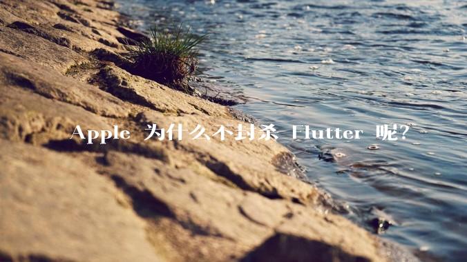 Apple 为什么不封杀 Flutter 呢？