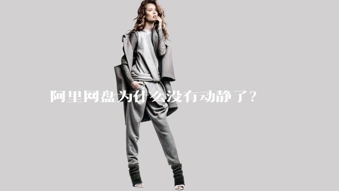 阿里网盘为什么没有动静了？