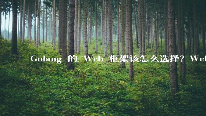 Golang 的 Web 框架该怎么选择？Web 开发又该怎样学？