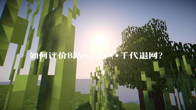 如何评价B站up主***千代退网？