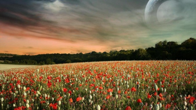 PHP初学者，我能不能使用PHP来开发桌面应用？